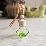 Parfum Mobil Pewangi Ruangan Gantung Cair Botol Apple — 10