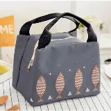 Tas Bekal Ikan Fish Botol Kotak Makan Anak Lunch Box Cooler Bag — 1