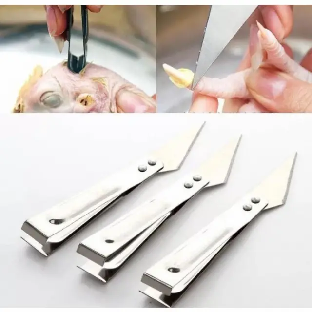 Pinset Alat Pencabut Bulu Ayam 2in1 Stainless Steel 14 cm